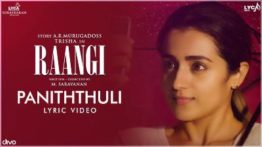 Paniththuli Song Lyrics - Raangi