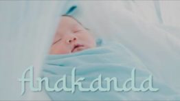 Lirik Lagu Anakanda - Dato' Sri Siti Nurhaliza